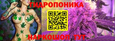 соль ск Заводоуковск