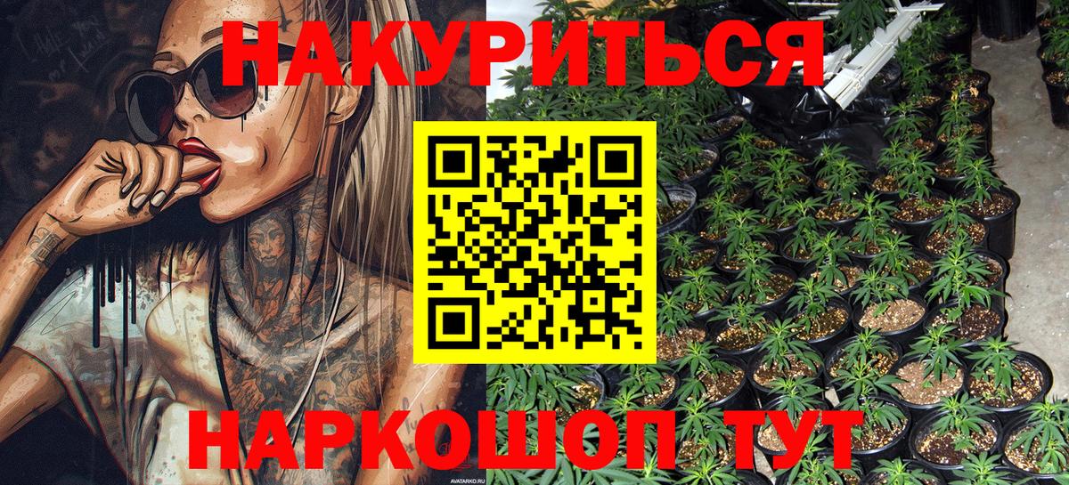 Миасс  Конопля планчик  Канабис сатива  Вход с VPN  Бошки марихуана Amnesia 